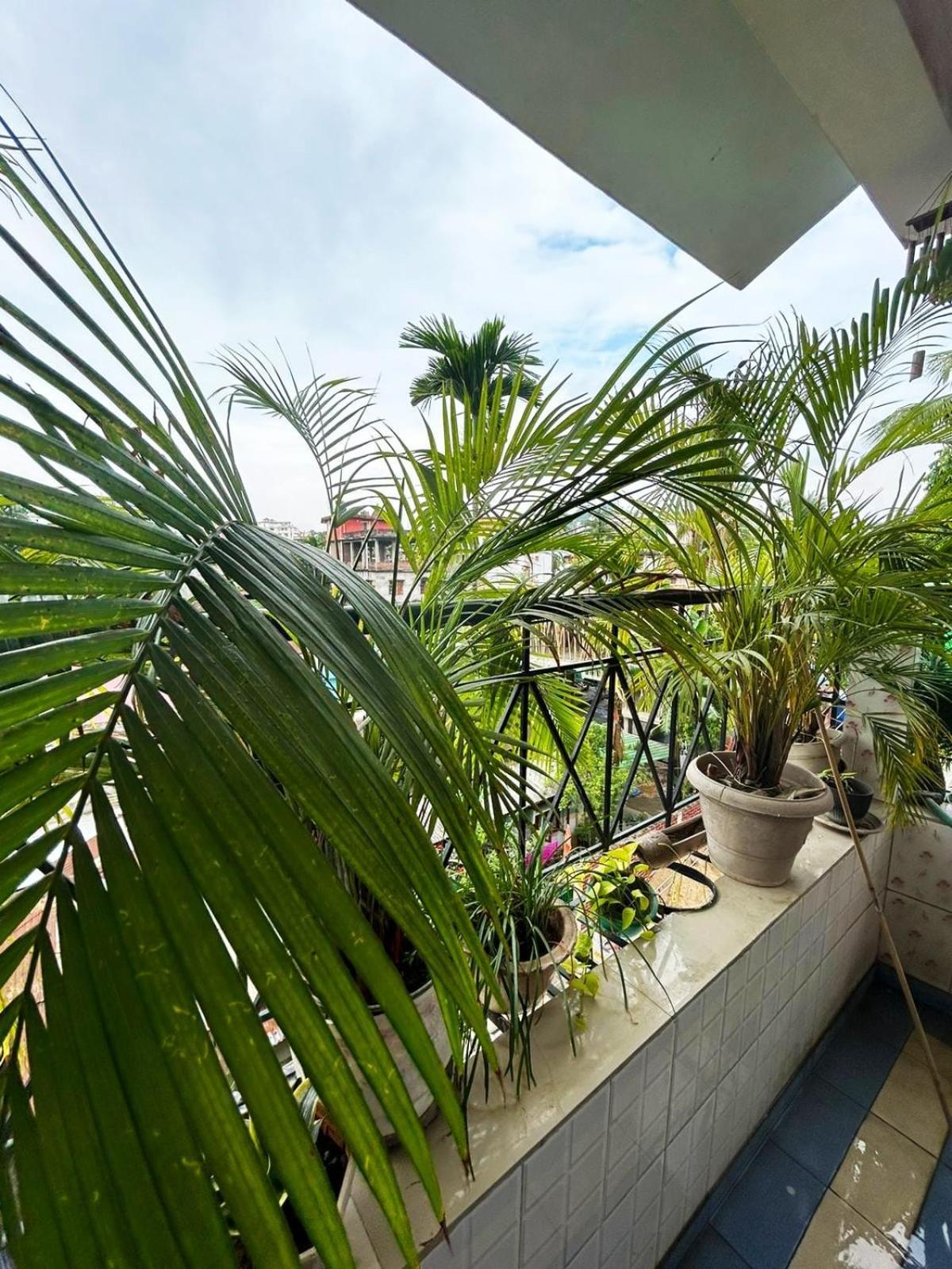 Bimban's- A Cozy Little Place Guwahati